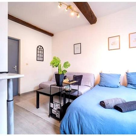 La Belle Niche Apartment Lille Bagian luar foto