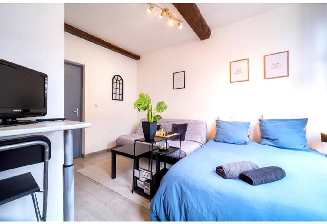La Belle Niche Apartment Lille Bagian luar foto