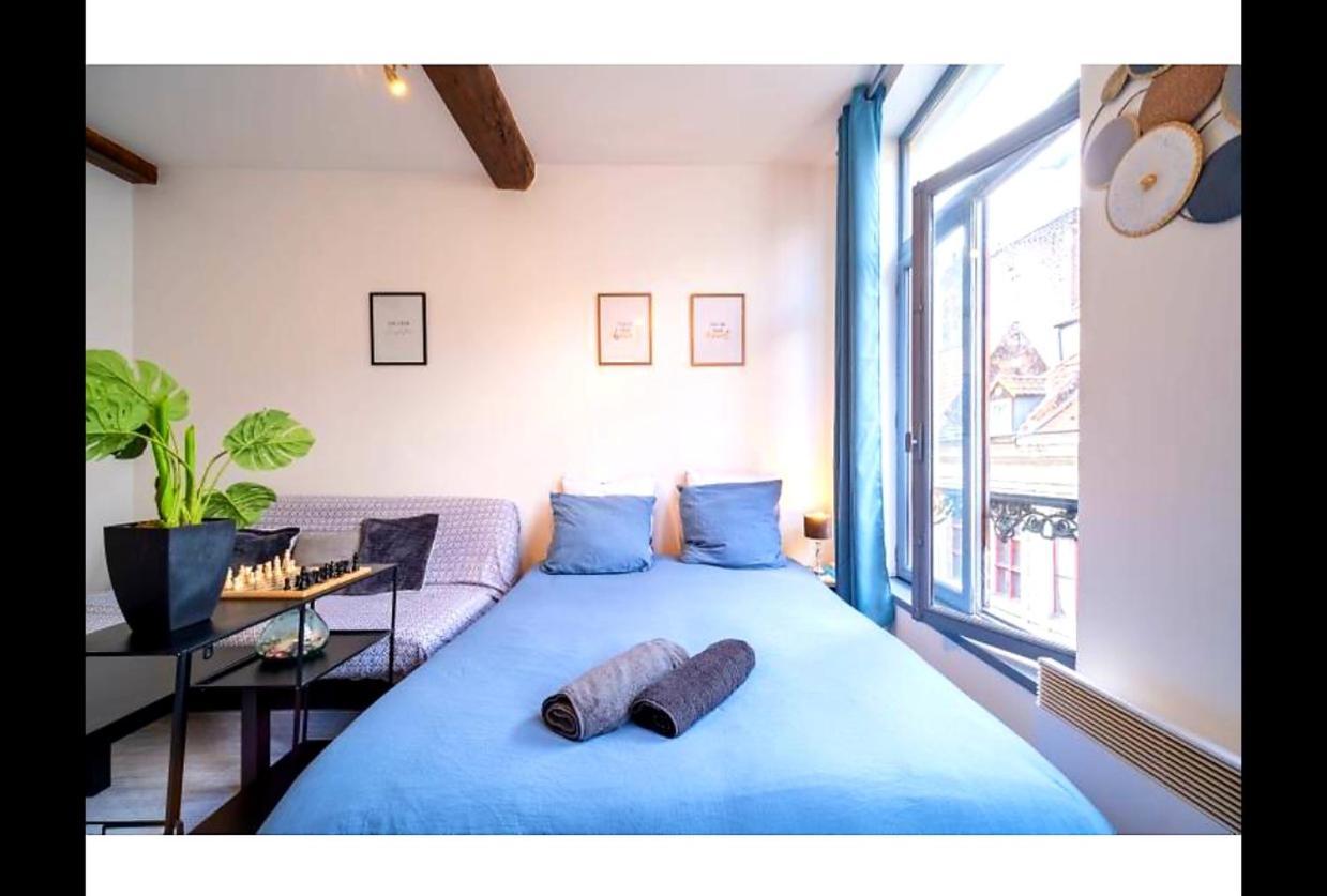 La Belle Niche Apartment Lille Bagian luar foto